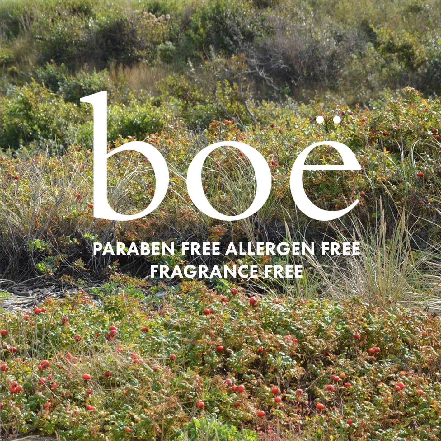 Ikke-navngivet-1 kopier