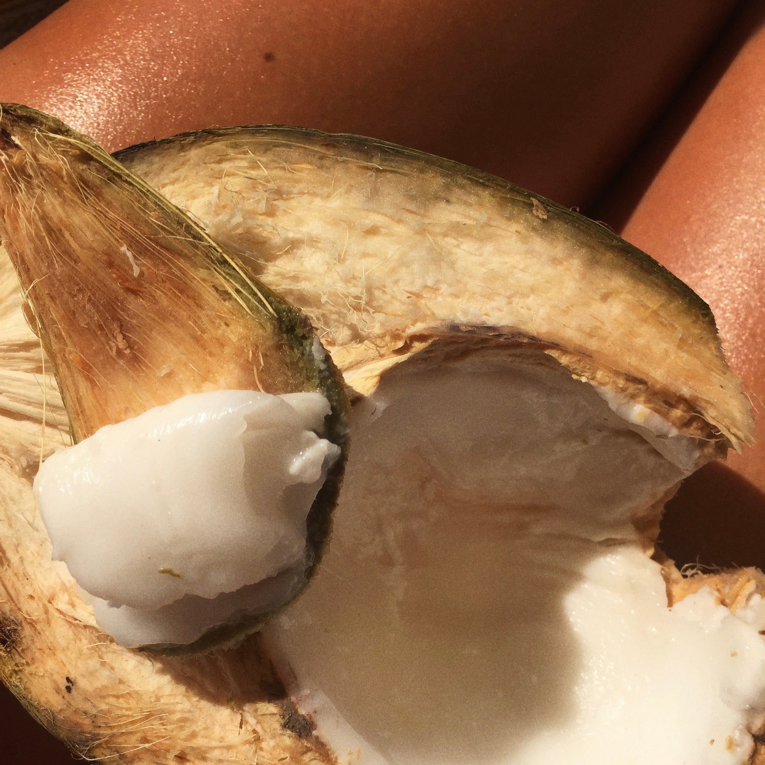 glowy skin and coconut